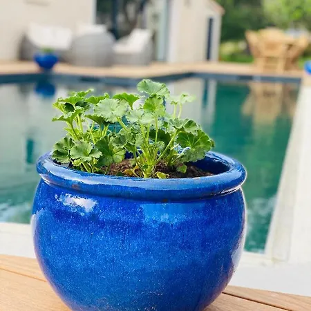 Cecile Cabanon Bleu A Pied זונזה