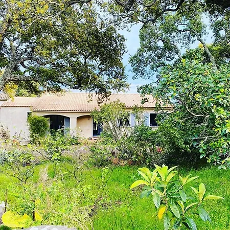 Cecile Cabanon Bleu A Pied זונזה